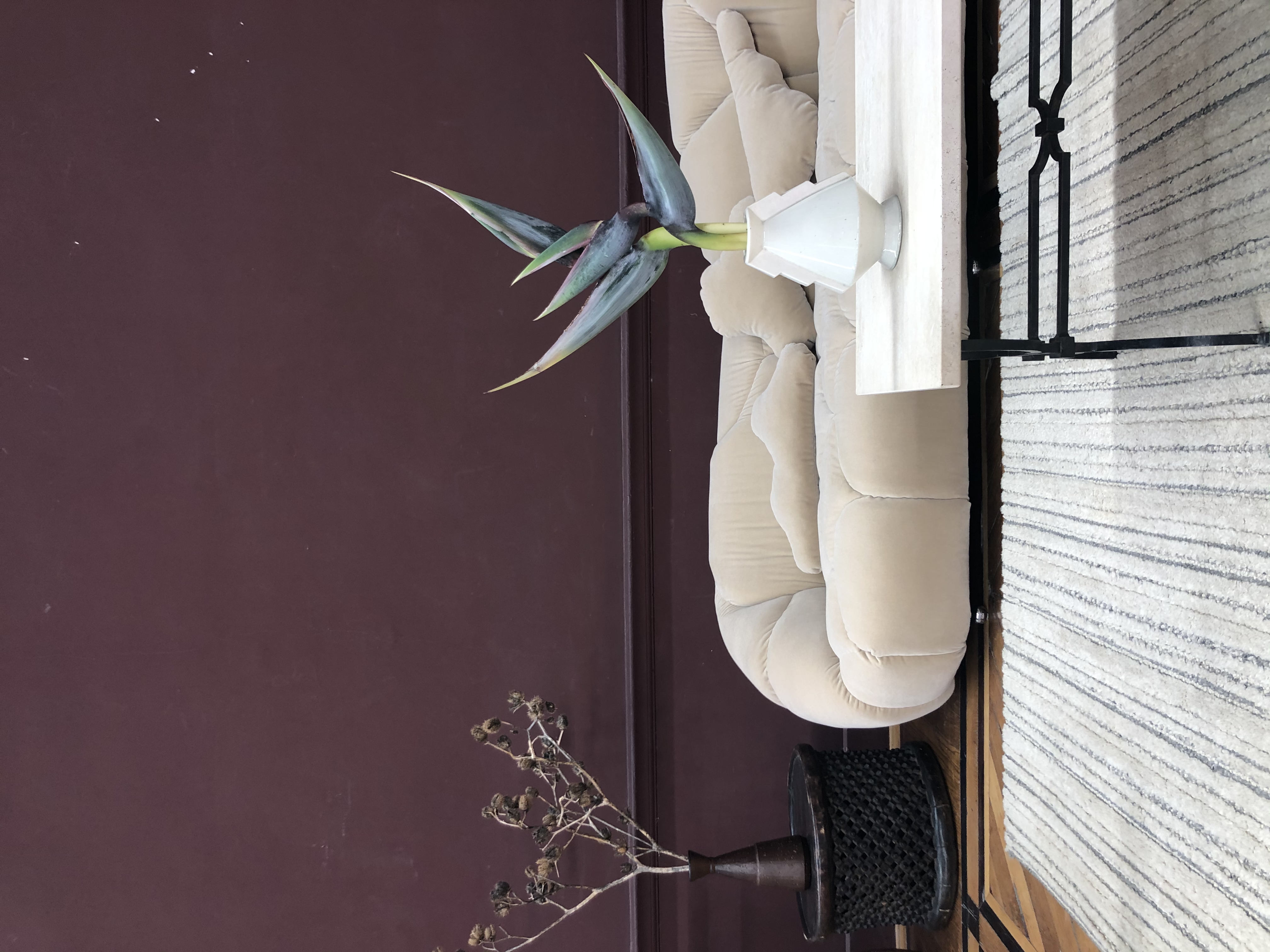 NANUSHKA AND BRUTALISM (MARCH 20) - Image 1