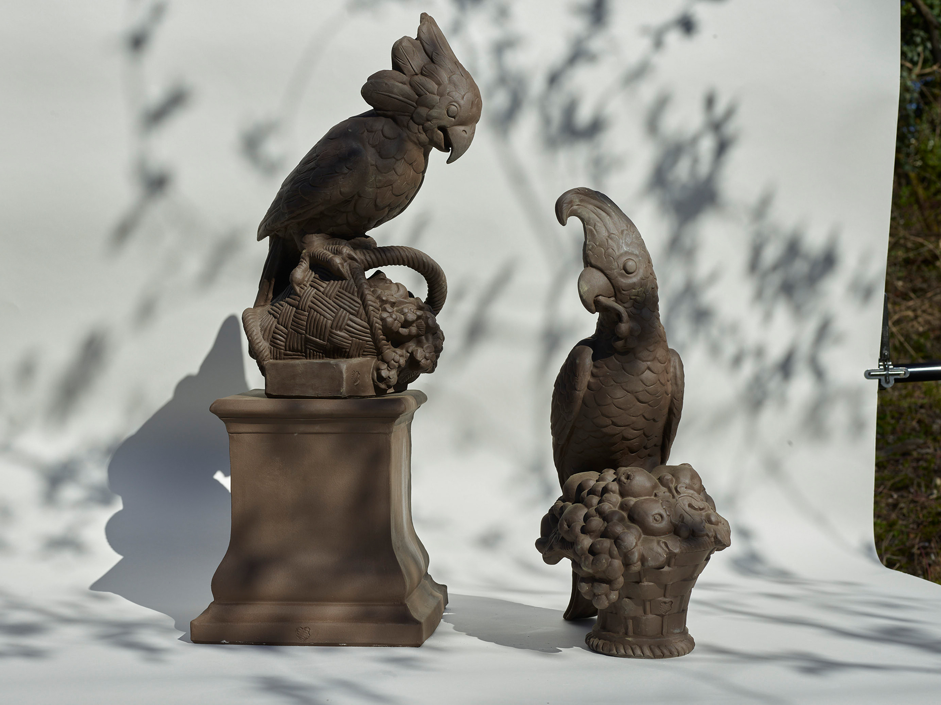Vögel und Papageien