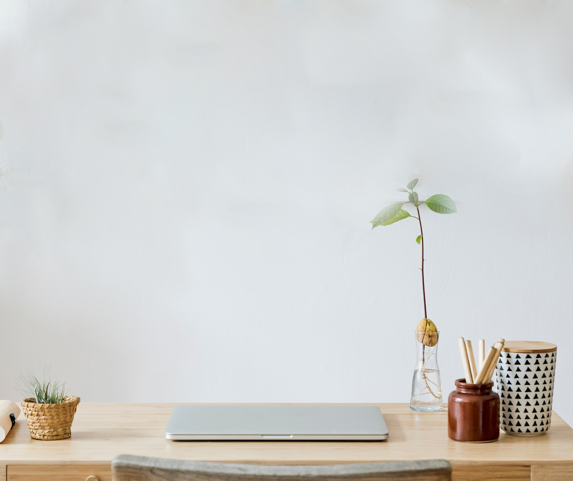 6 Great Oversized Flower Paintings