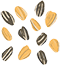 Sunflower Seeds